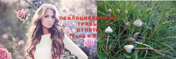 прущий лед Балабаново