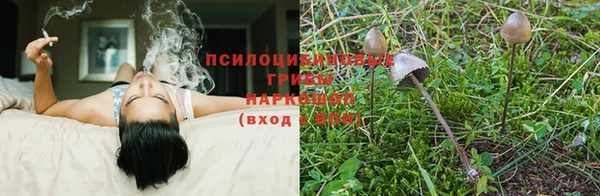 твердый Баксан