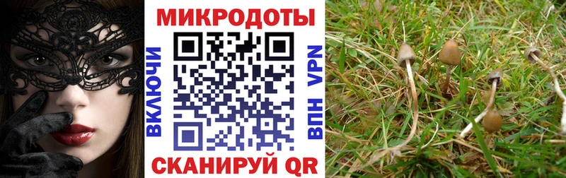 Псилоцибиновые грибы мицелий  omg рабочий сайт  Нерюнгри 